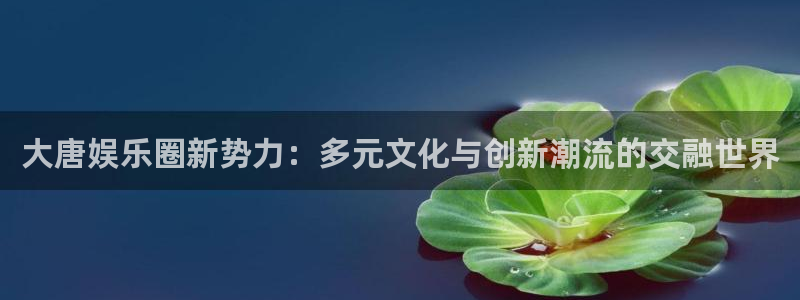 蓝图娱乐平台主管：大唐娱乐圈新势力：多元文化与创新潮流的交融世界