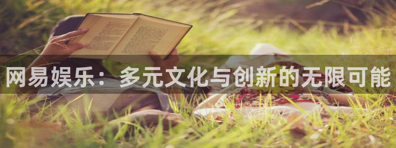 蓝图娱乐平台主管：网易娱乐：多元文化与创新的无限可能