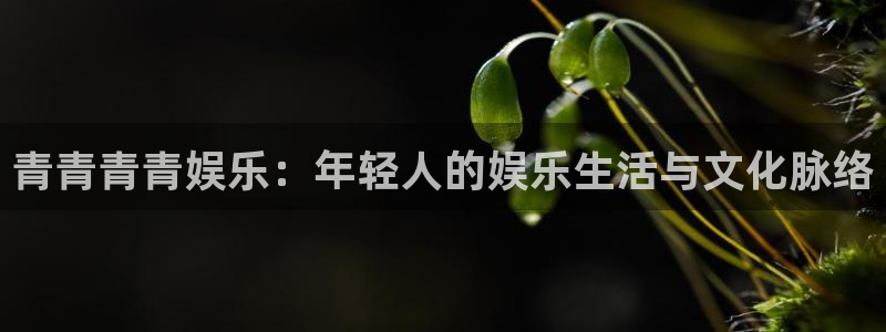 蓝图娱乐平台主管：青青青青娱乐：年轻人的娱乐生活与文化脉络