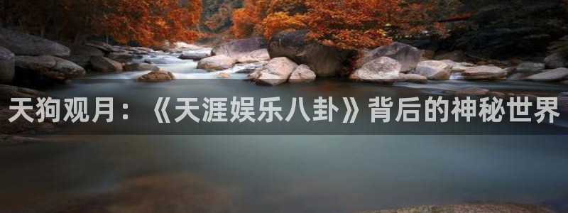 蓝图娱乐平台主管：天狗观月：《天涯娱乐八卦》背后的神秘世界