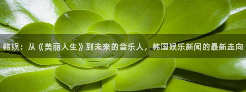 蓝图娱乐官网入口：韩娱：从《美丽人生》到未来的音乐人，韩国娱乐新闻的最新走向
