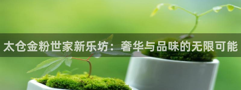 蓝图娱乐平台主管：太仓金粉世家新乐坊：奢华与品味的无限可能
