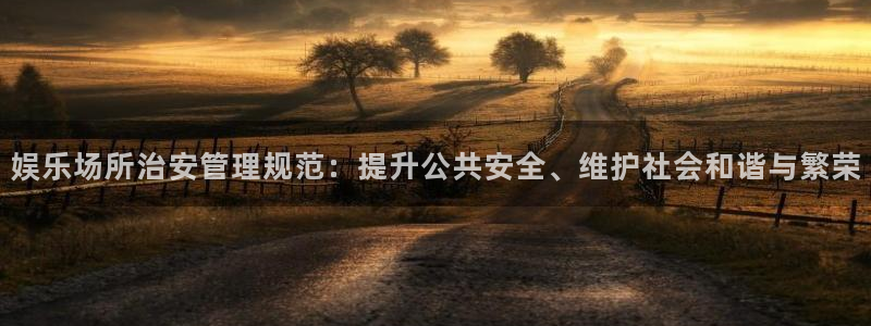 蓝图娱乐平台主管：娱乐场所治安管理规范：提升公共安全、维护社会和谐与繁荣