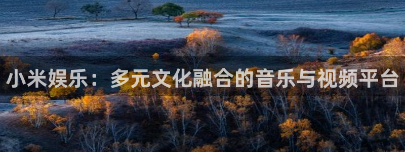 蓝图娱乐：小米娱乐：多元文化融合的音乐与视频平台