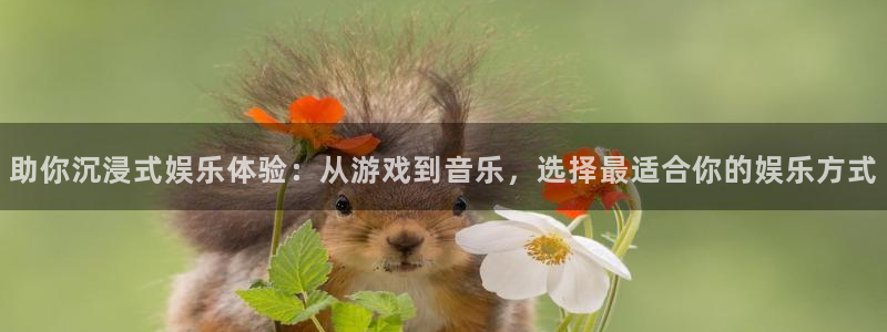 蓝图娱乐官网入口：助你沉浸式娱乐体验：从游戏到音乐，选择最适合你的娱乐方式