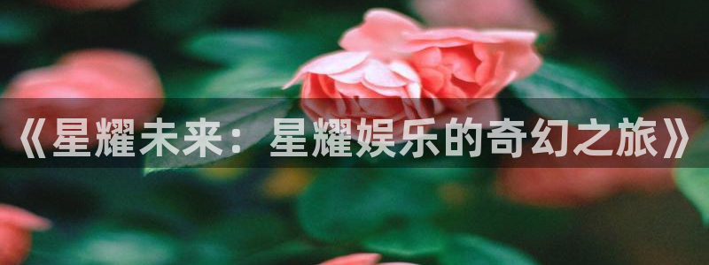 蓝图娱乐官网入口：《星耀未来：星耀娱乐的奇幻之旅》